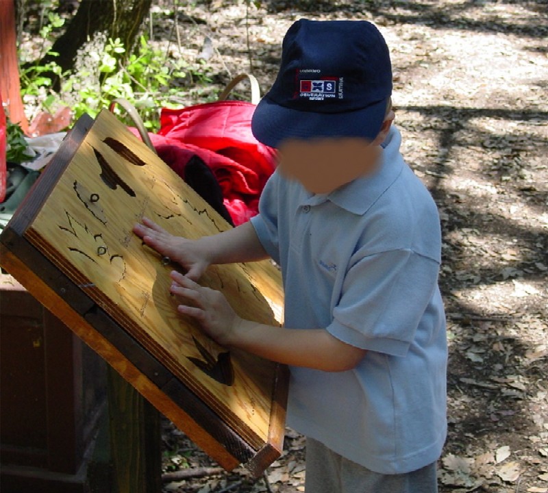 Educazione ambientale: l''uso dei cinque sensi